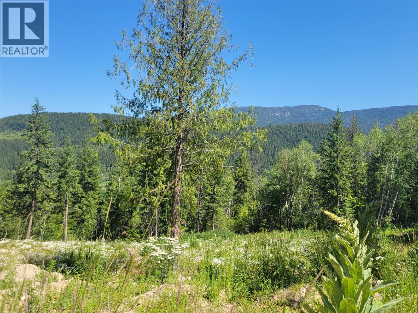 941 Chase Falkland Road, Chase, British Columbia  V0E 1M1 - Photo 14 - 10389552