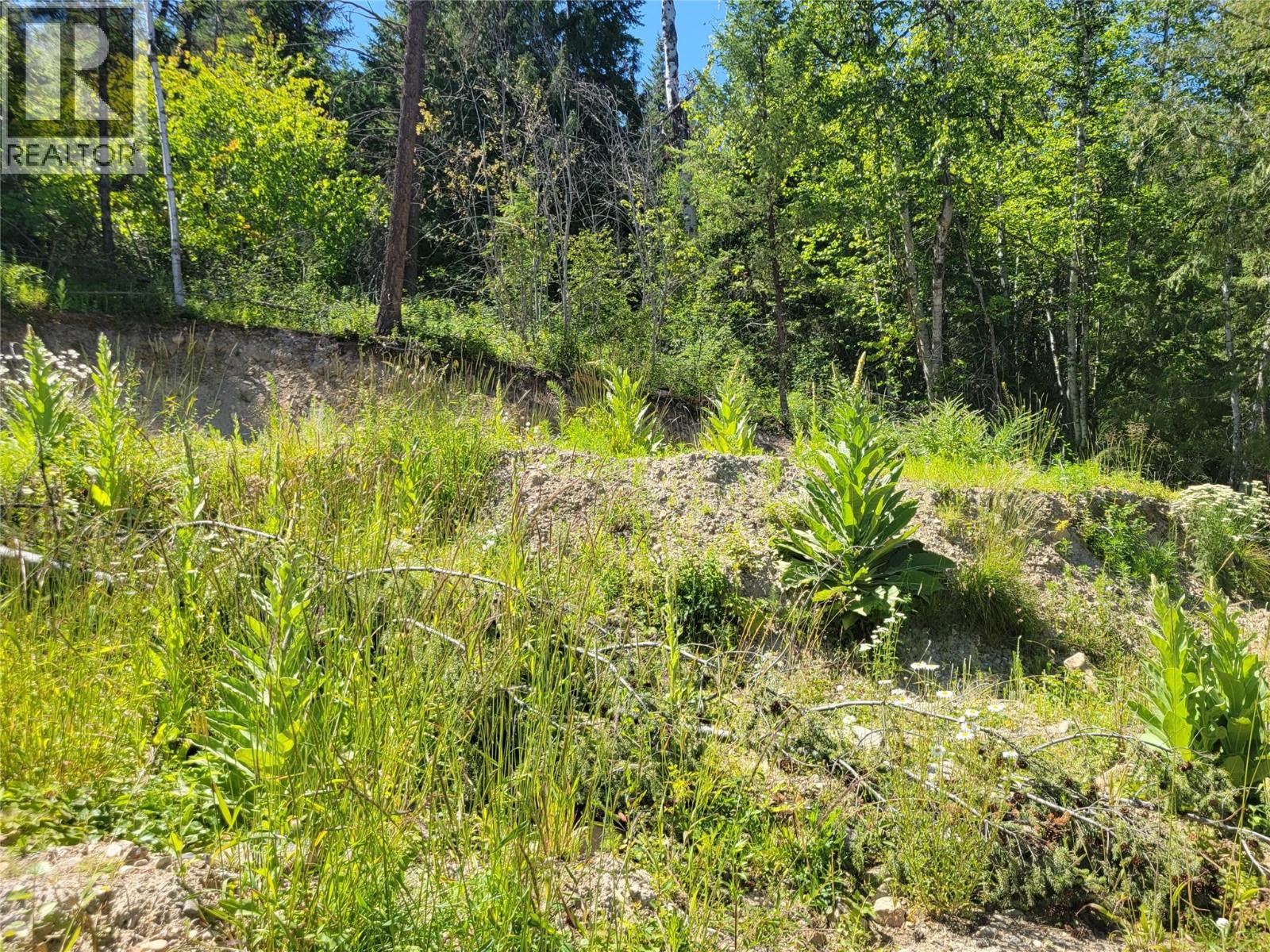 941 Chase Falkland Road, Chase, British Columbia  V0E 1M1 - Photo 16 - 10389552