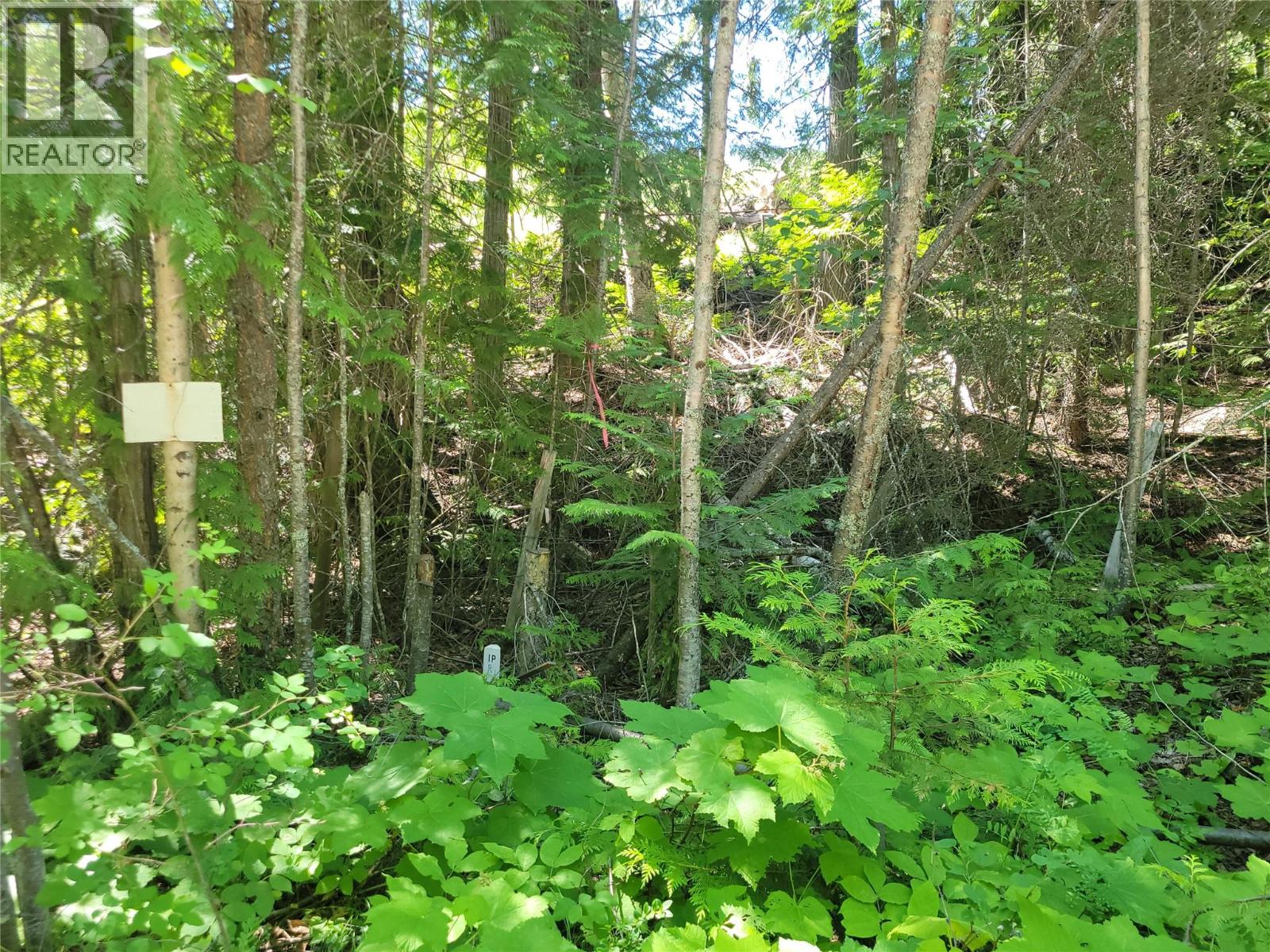941 Chase Falkland Road, Chase, British Columbia  V0E 1M1 - Photo 5 - 10389552