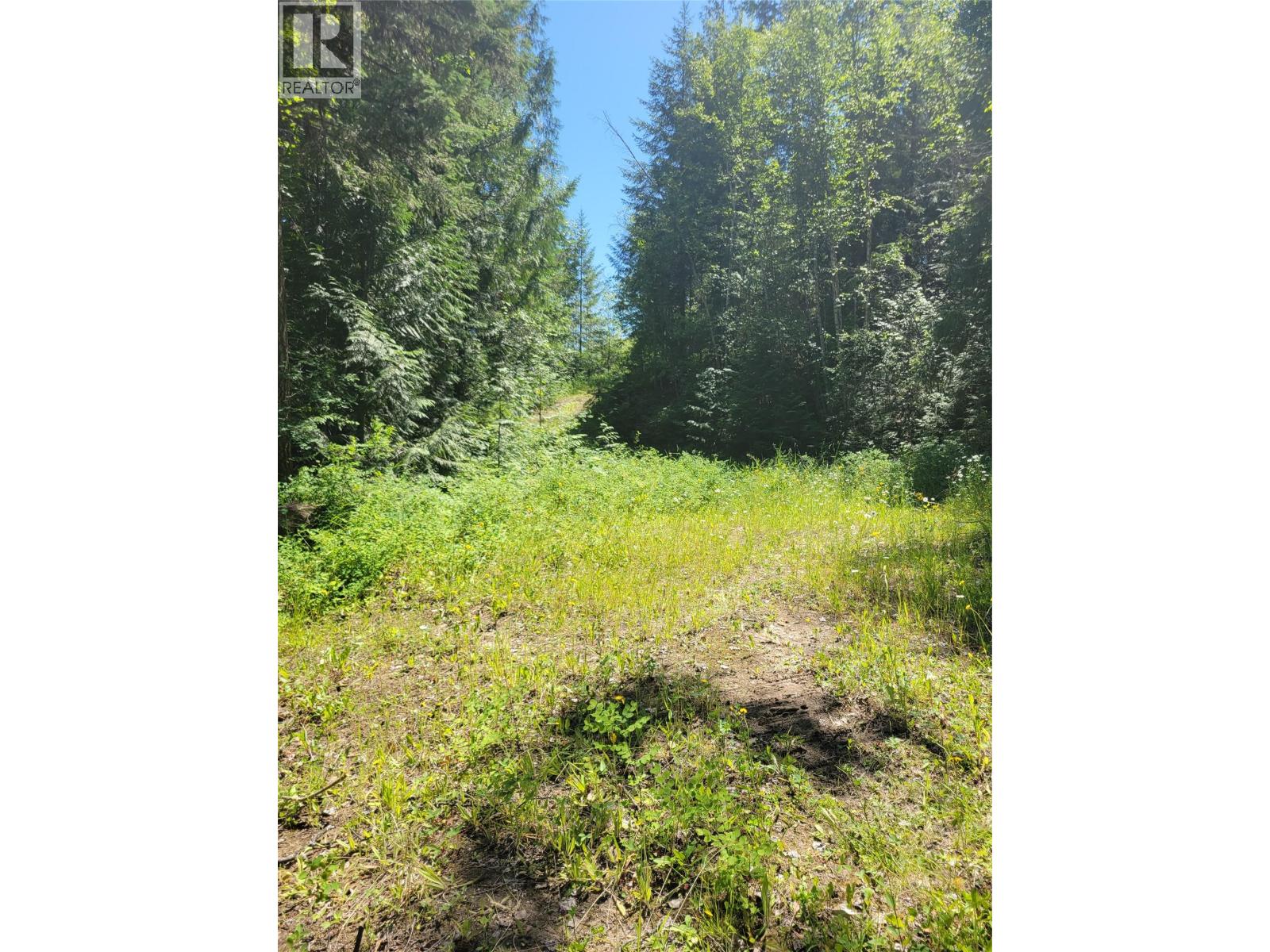 941 Chase Falkland Road, Chase, British Columbia  V0E 1M1 - Photo 8 - 10389552