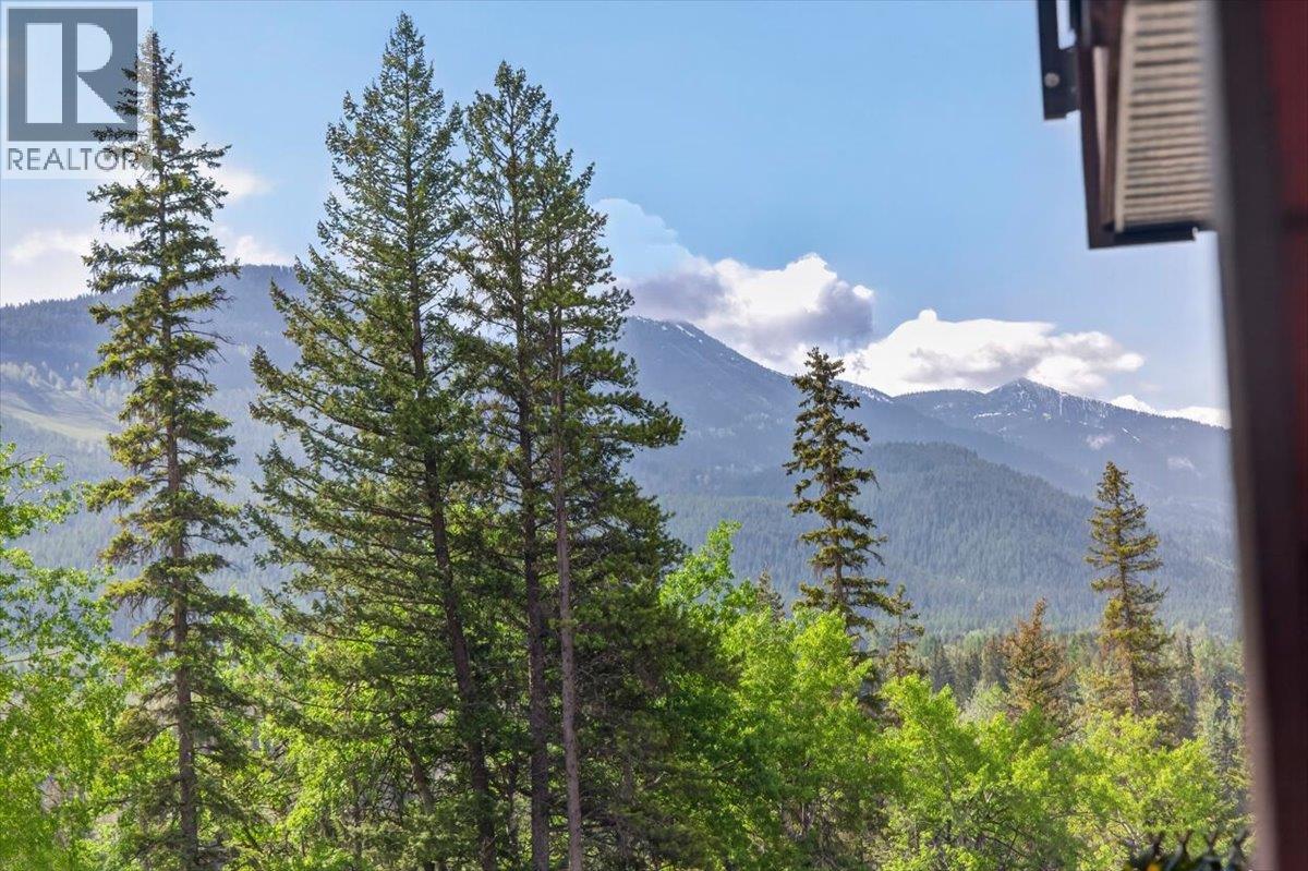 1286 Ponderosa Drive Unit# 313, Sparwood, British Columbia  V0B 2G2 - Photo 28 - 10389599