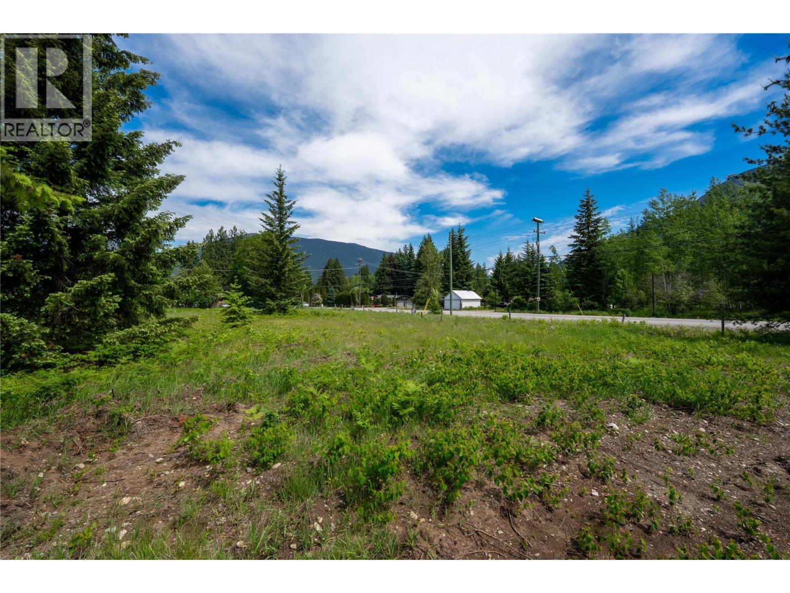 2006 Lanzo Lane, Revelstoke, British Columbia  V0E 2S1 - Photo 8 - 10389108