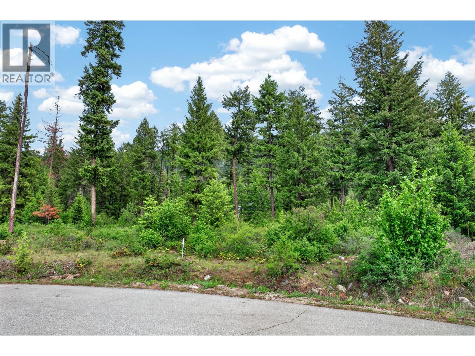 Lot 14 Caitlin Road, Christina Lake, British Columbia  V0H 1E0 - Photo 6 - 10387802