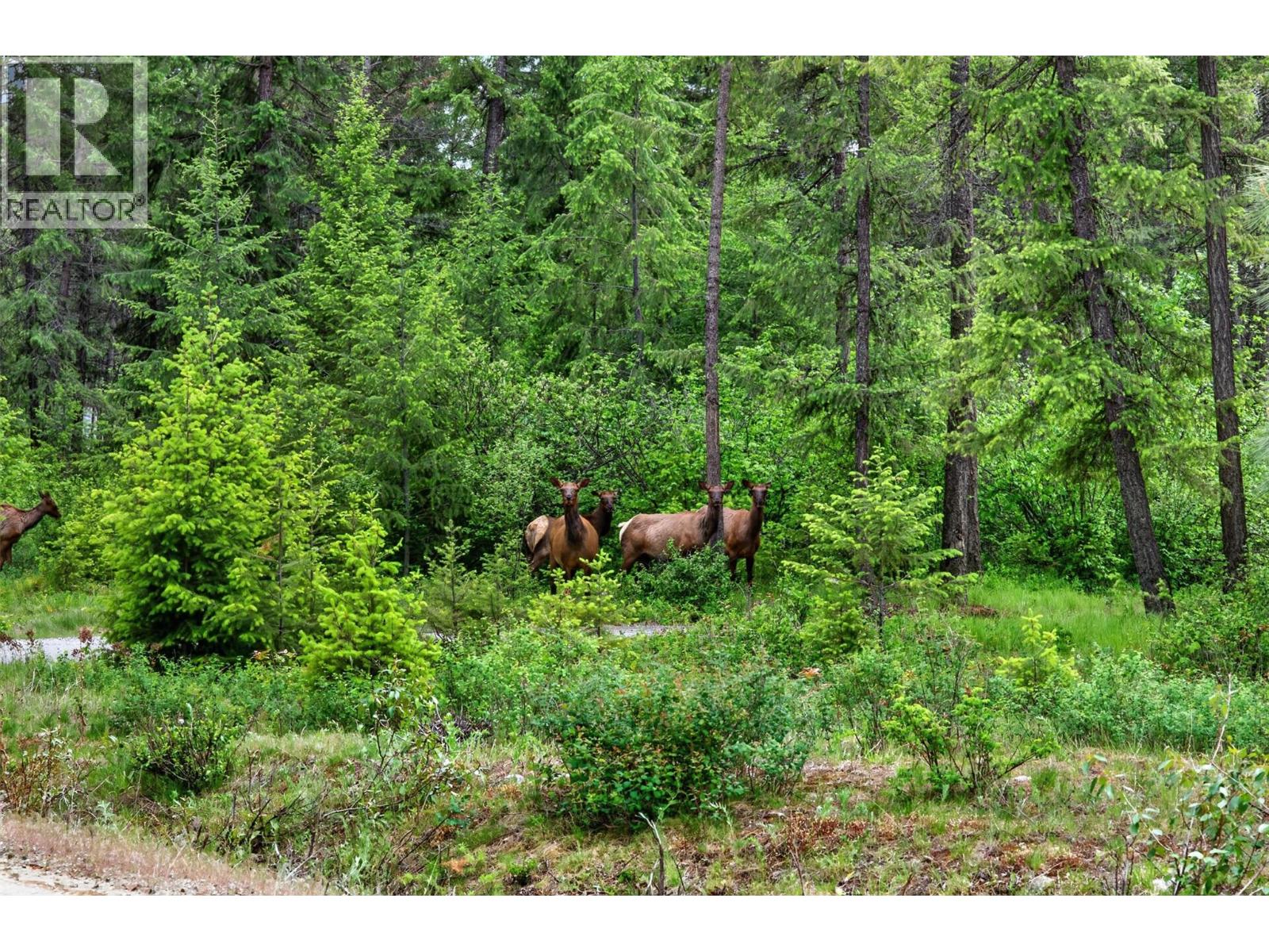 Lot 14 Caitlin Road, Christina Lake, British Columbia  V0H 1E0 - Photo 7 - 10387802