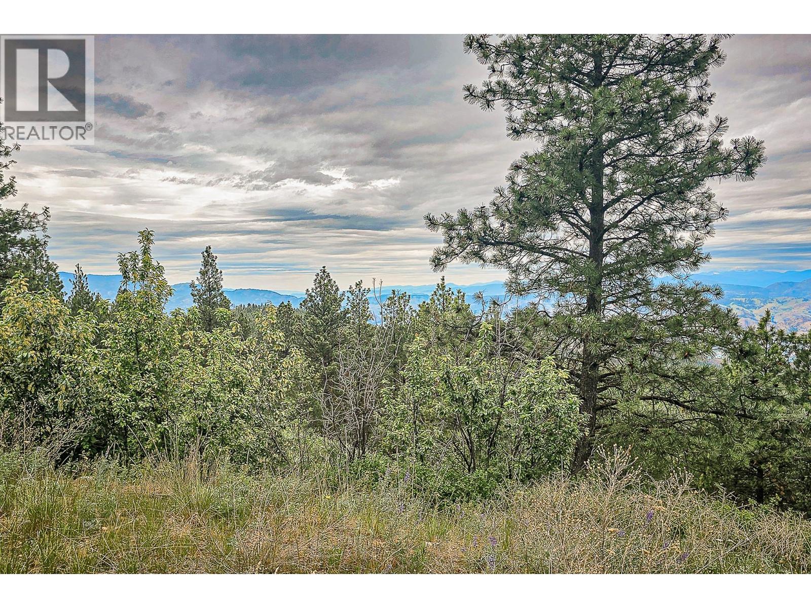 490 Sasquatch Trail Lot# 34, Osoyoos, British Columbia  V0H 1V6 - Photo 6 - 10389578