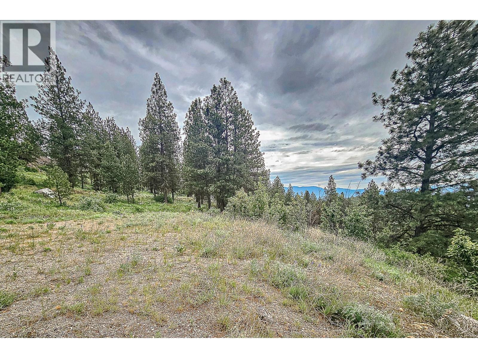 490 Sasquatch Trail Lot# 34, Osoyoos, British Columbia  V0H 1V6 - Photo 8 - 10389578