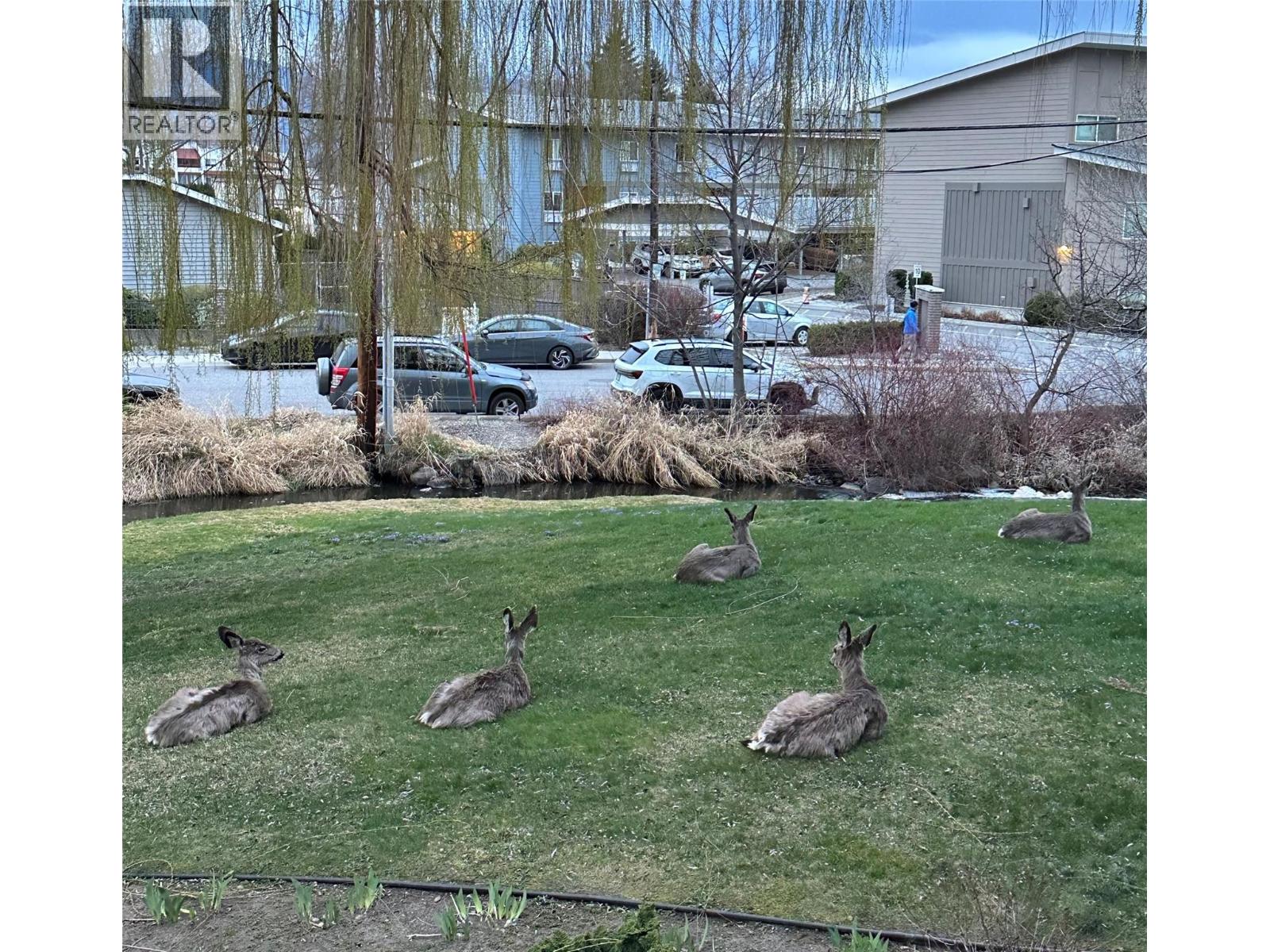 1170 Brookside Avenue Unit# 101, Kelowna, British Columbia  V1Y 5T4 - Photo 36 - 10389697