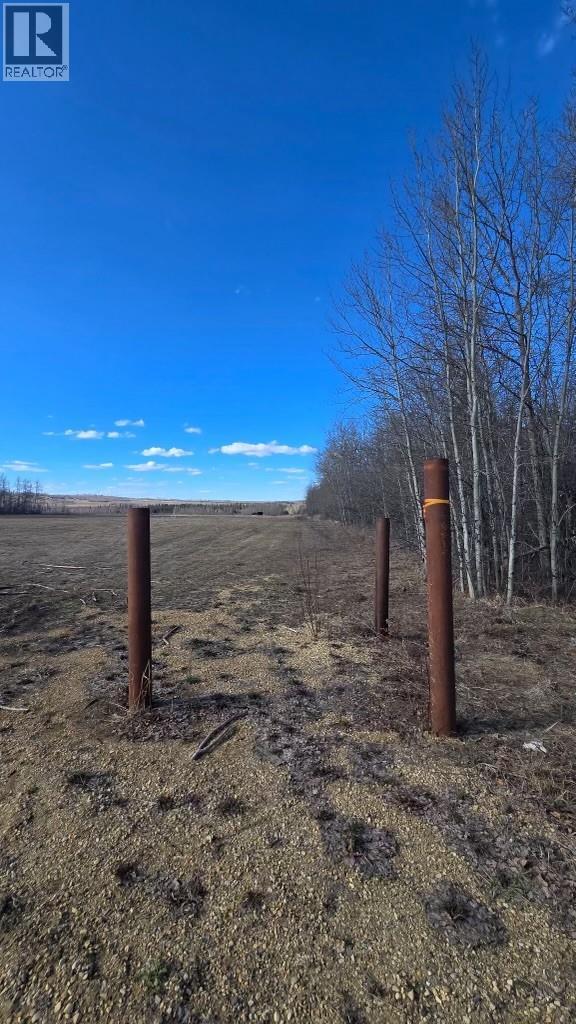 3149 Highway 97, Dawson Creek, British Columbia  V1G 4R0 - Photo 3 - 10389766