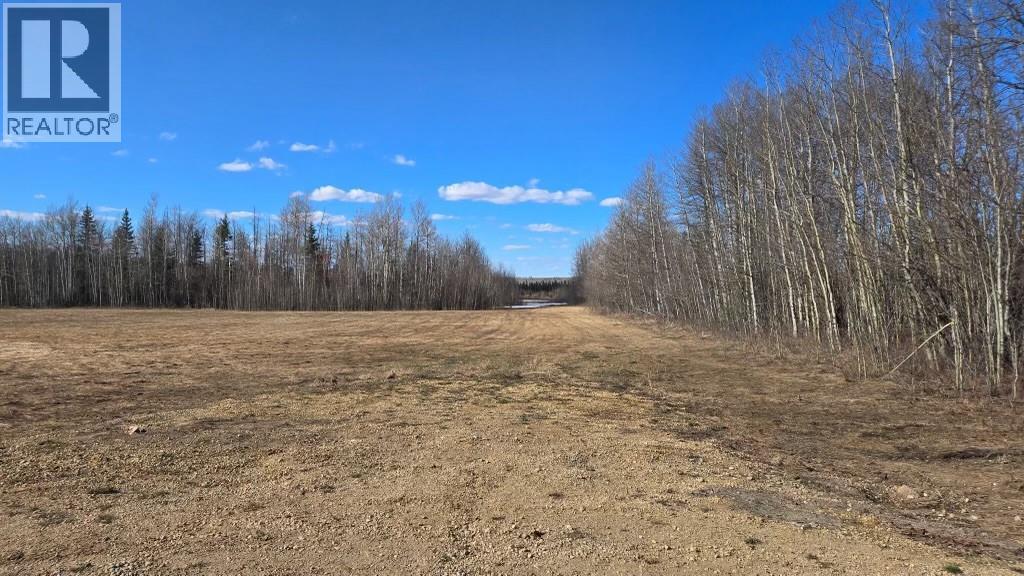3149 Highway 97, Dawson Creek, British Columbia  V1G 4R0 - Photo 6 - 10389766