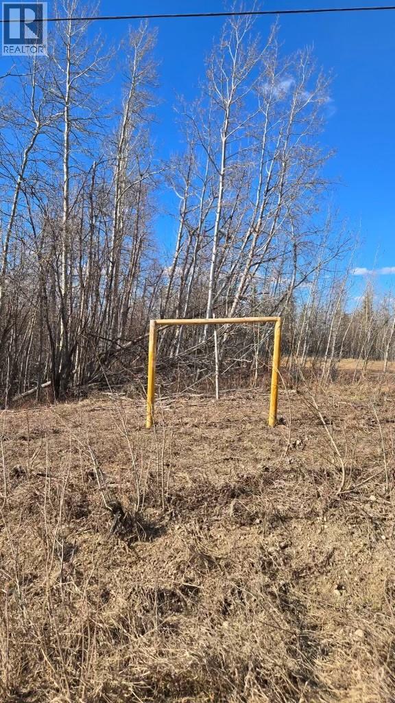 3149 Highway 97, Dawson Creek, British Columbia  V1G 4R0 - Photo 8 - 10389766