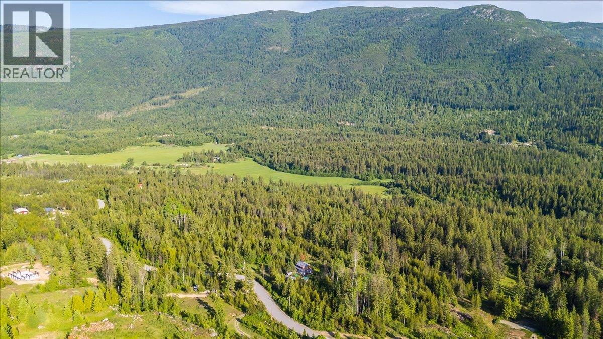 150 Suncrest Road, Pass Creek, British Columbia  V1N 4T5 - Photo 52 - 10389604