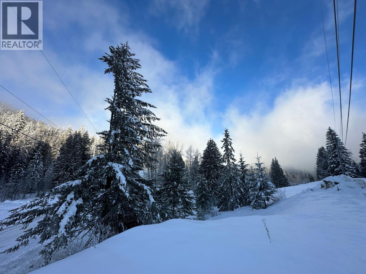 3923 Old Red Mountain Road, Rossland, British Columbia  V0G 1Y0 - Photo 17 - 10389695