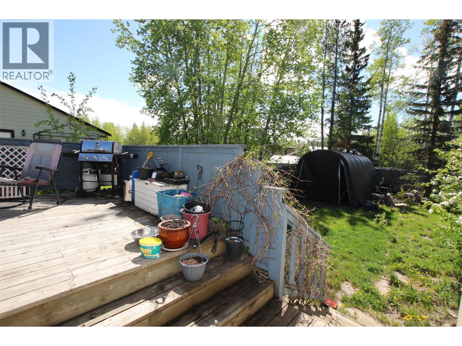 164 Bergeron Drive, Tumbler Ridge, British Columbia  V0C 2W0 - Photo 6 - 10389763