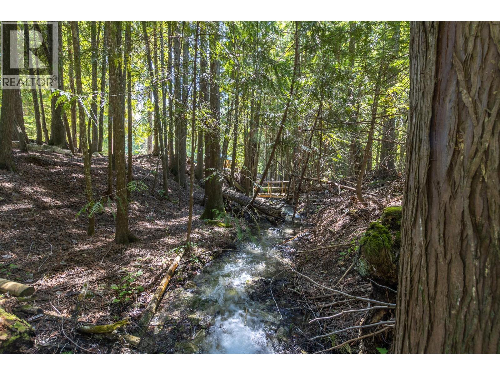 Sunnybrae Canoe Point Road Lot# 2, Tappen, British Columbia  V0E 2X1 - Photo 27 - 10389363