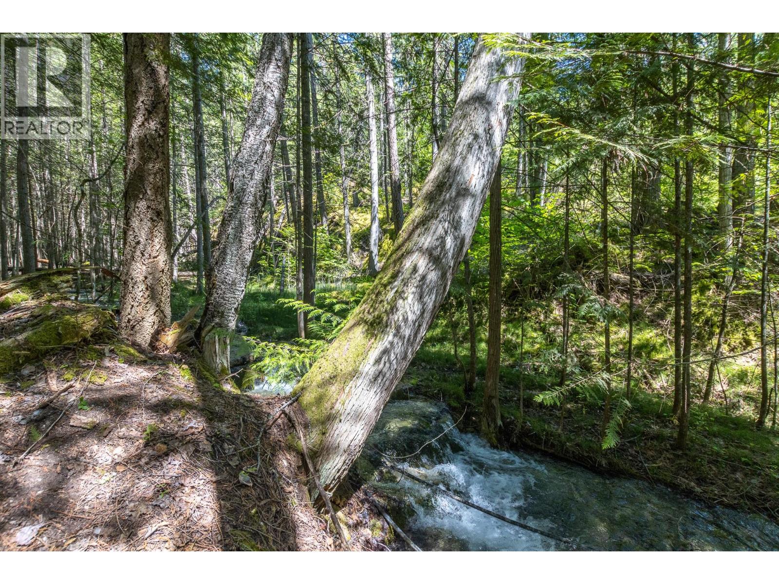 Sunnybrae Canoe Point Road Lot# 2, Tappen, British Columbia  V0E 2X1 - Photo 33 - 10389363