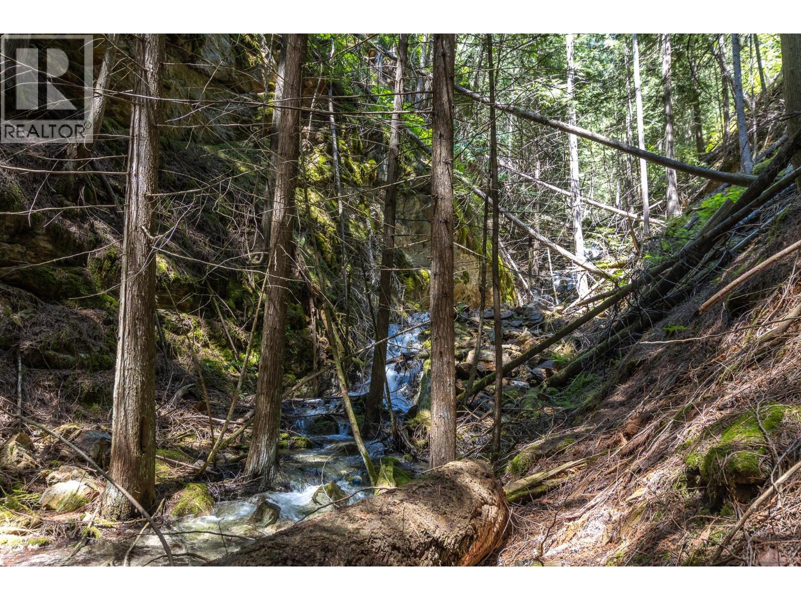 Sunnybrae Canoe Point Road Lot# 2, Tappen, British Columbia  V0E 2X1 - Photo 38 - 10389363
