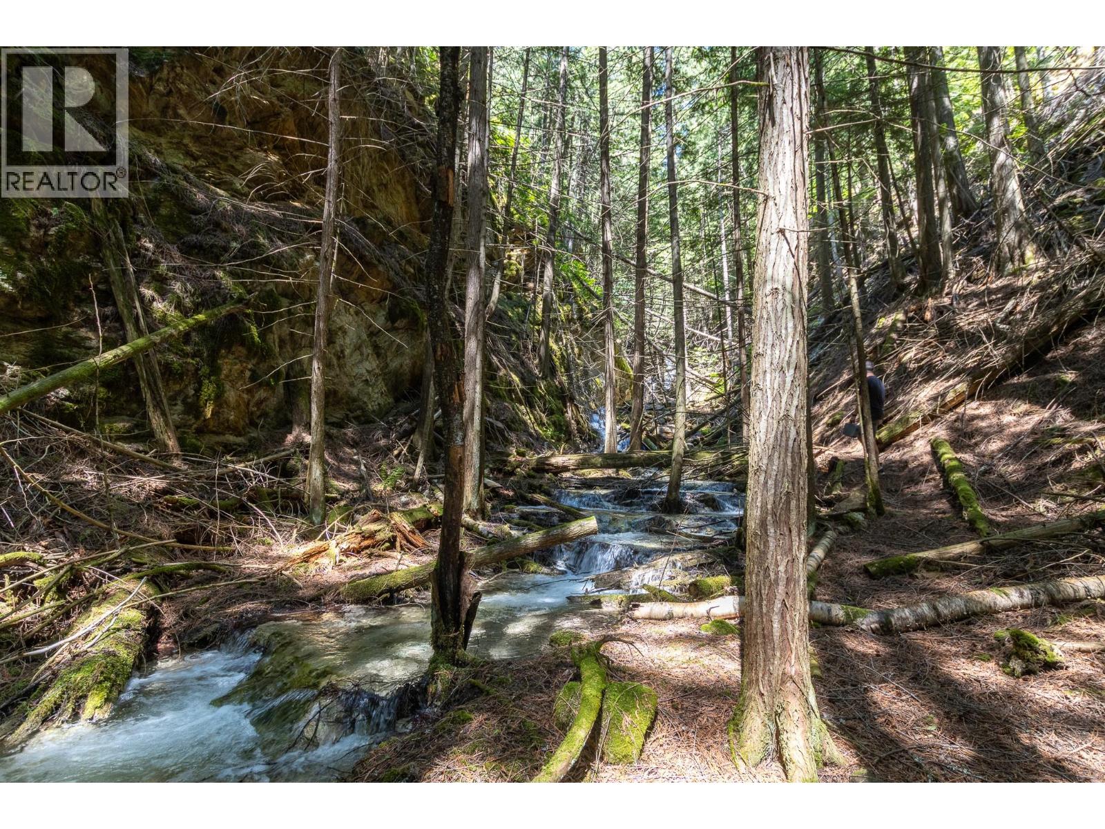 Sunnybrae Canoe Point Road Lot# 2, Tappen, British Columbia  V0E 2X1 - Photo 4 - 10389363