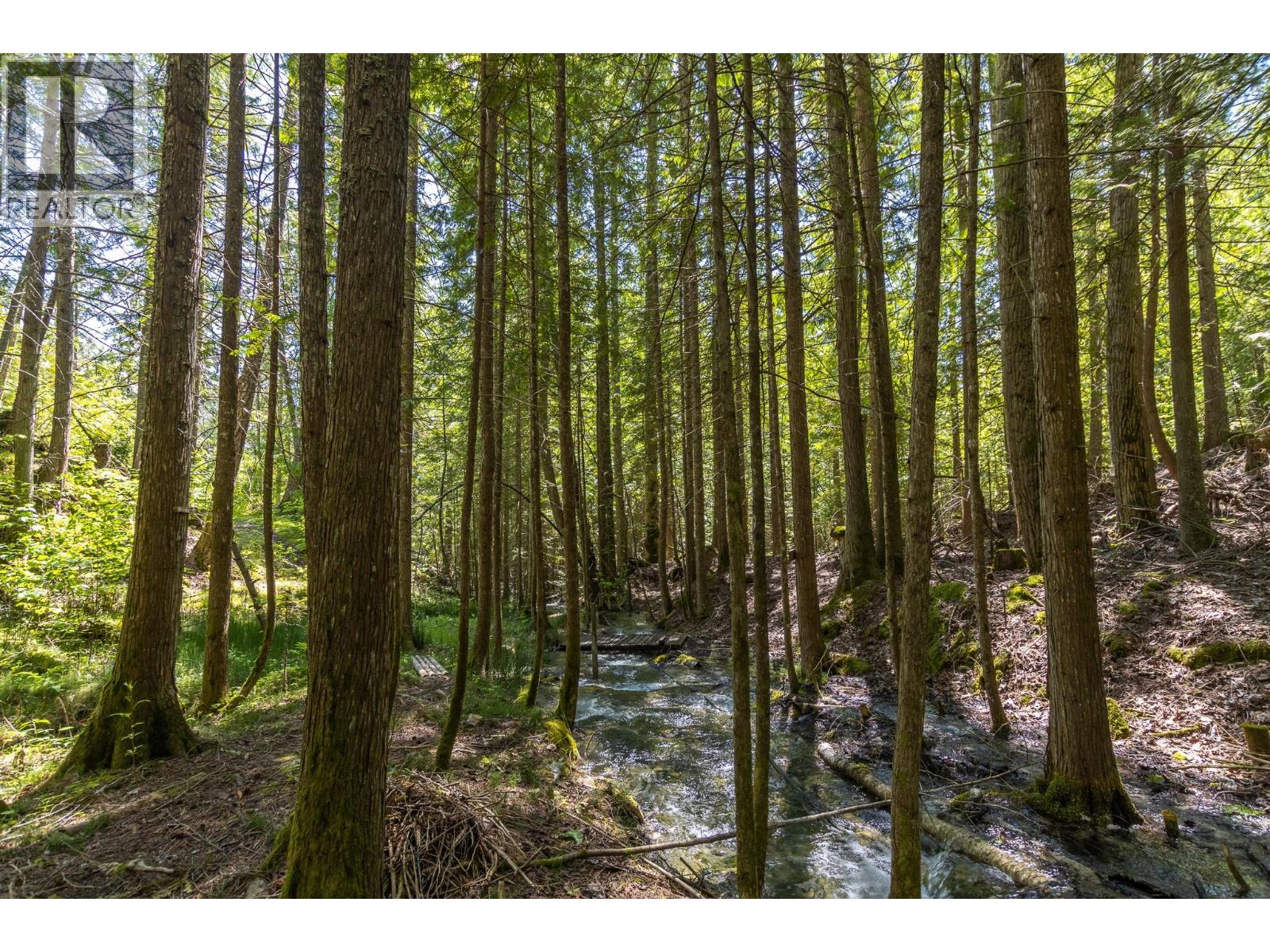 Sunnybrae Canoe Point Road Lot# 2, Tappen, British Columbia  V0E 2X1 - Photo 5 - 10389363