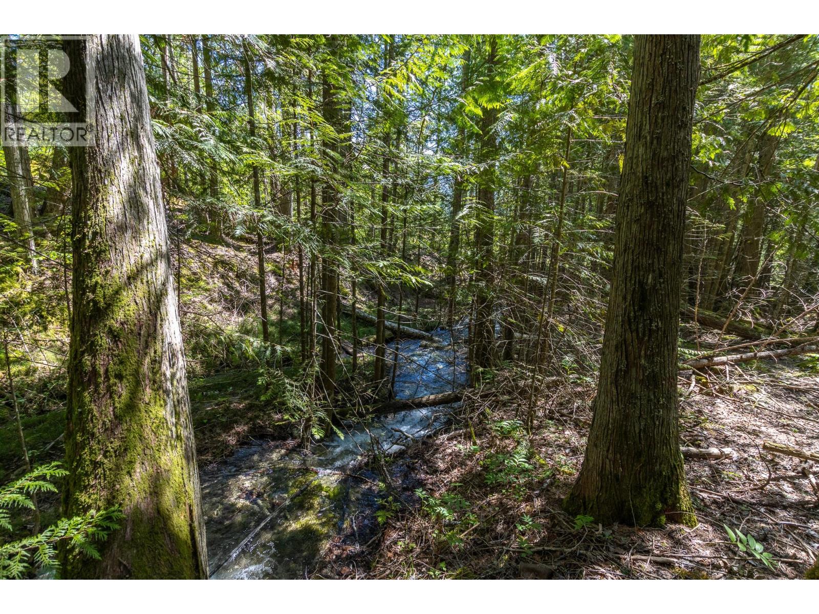 Sunnybrae Canoe Point Road Lot# 2, Tappen, British Columbia  V0E 2X1 - Photo 6 - 10389363