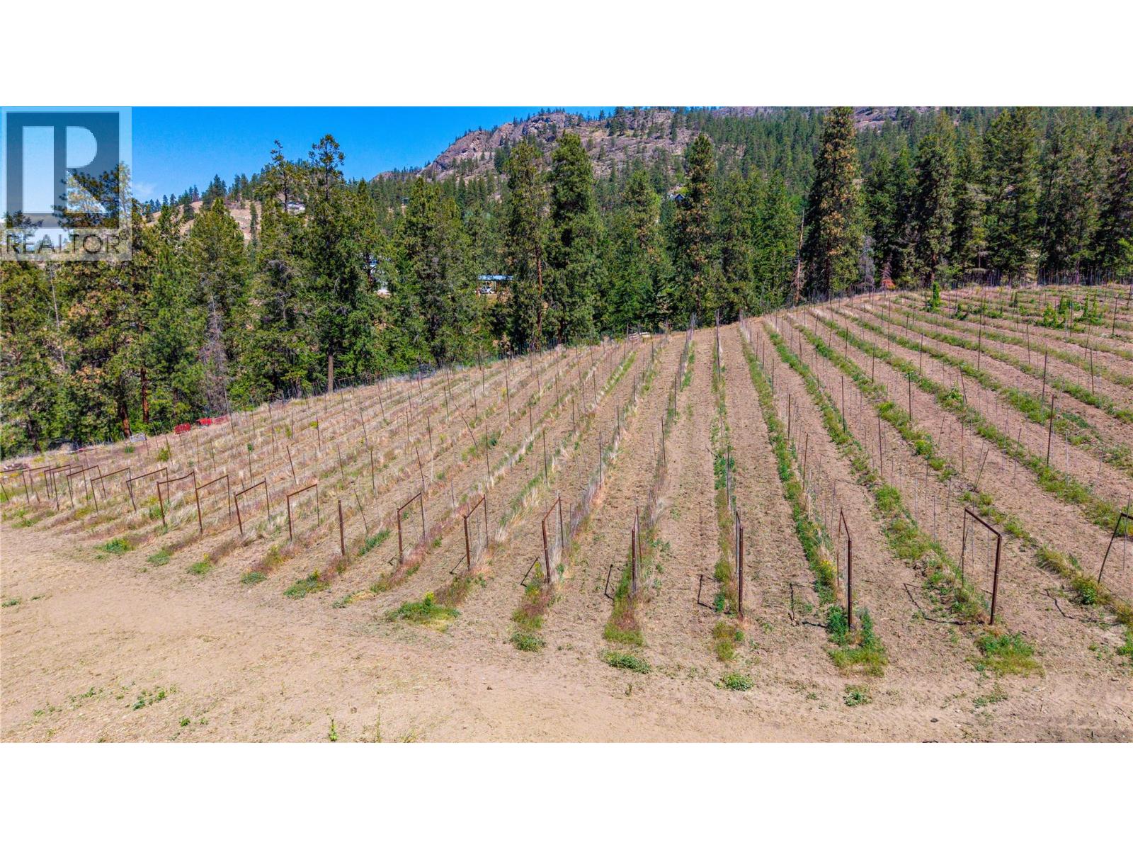 4815 Cooper Road, Naramata, British Columbia  V0H 1N1 - Photo 14 - 10389856