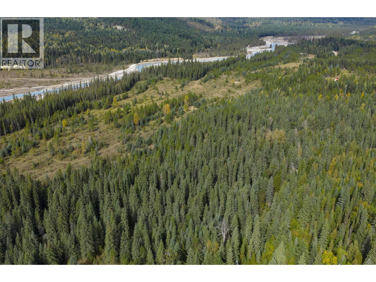 2237 Blaeberry Road, Golden, British Columbia  V0A 1H1 - Photo 20 - 10389813