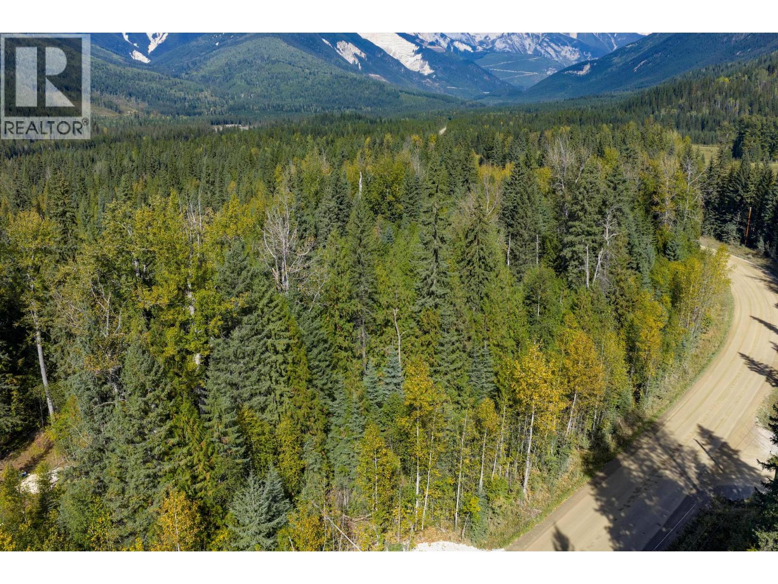 2237 Blaeberry Road, Golden, British Columbia  V0A 1H1 - Photo 26 - 10389813
