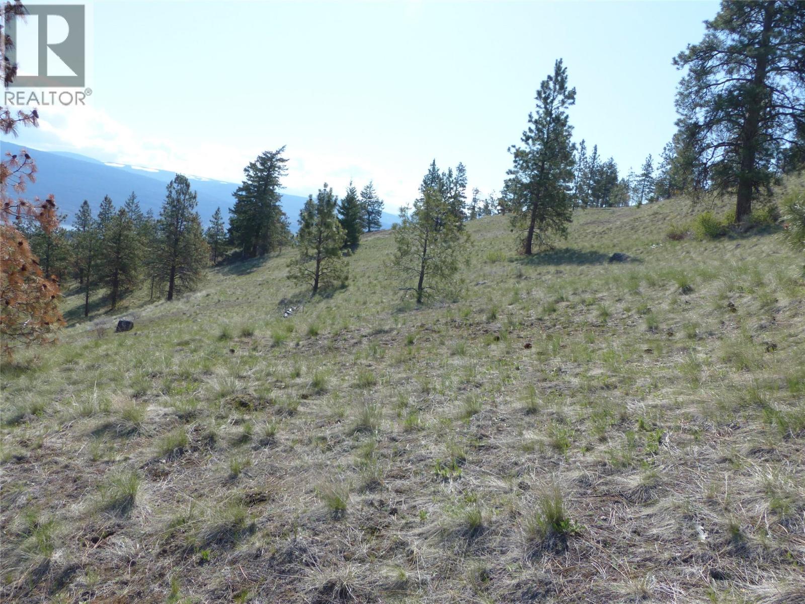8900 Gilman Road, Summerland, British Columbia  V0H 1Z2 - Photo 12 - 10388012