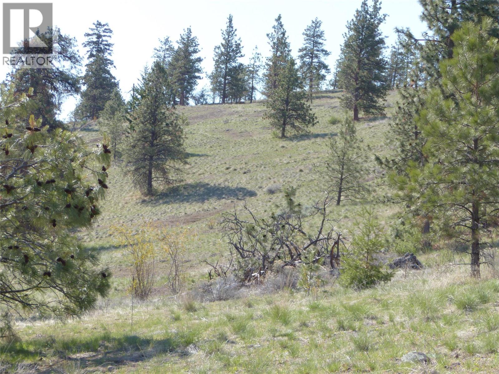 8900 Gilman Road, Summerland, British Columbia  V0H 1Z2 - Photo 18 - 10388012