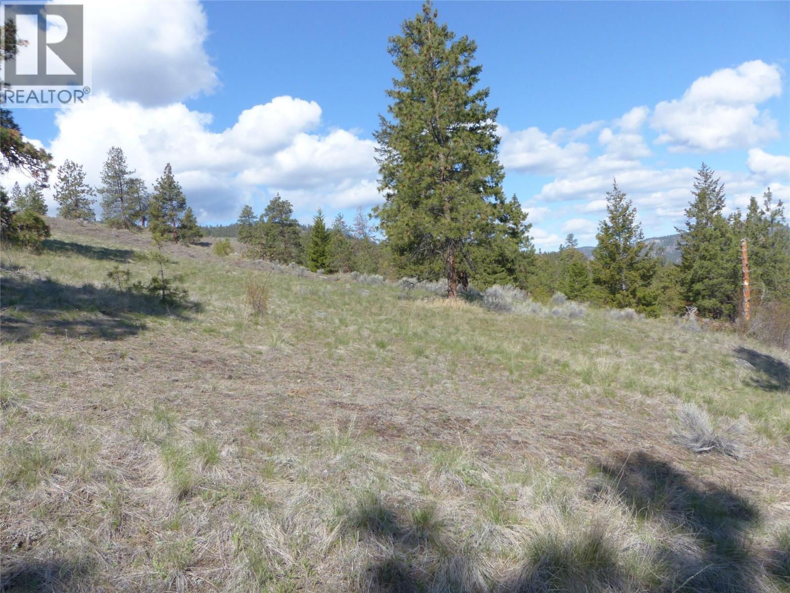 8900 Gilman Road, Summerland, British Columbia  V0H 1Z2 - Photo 25 - 10388012