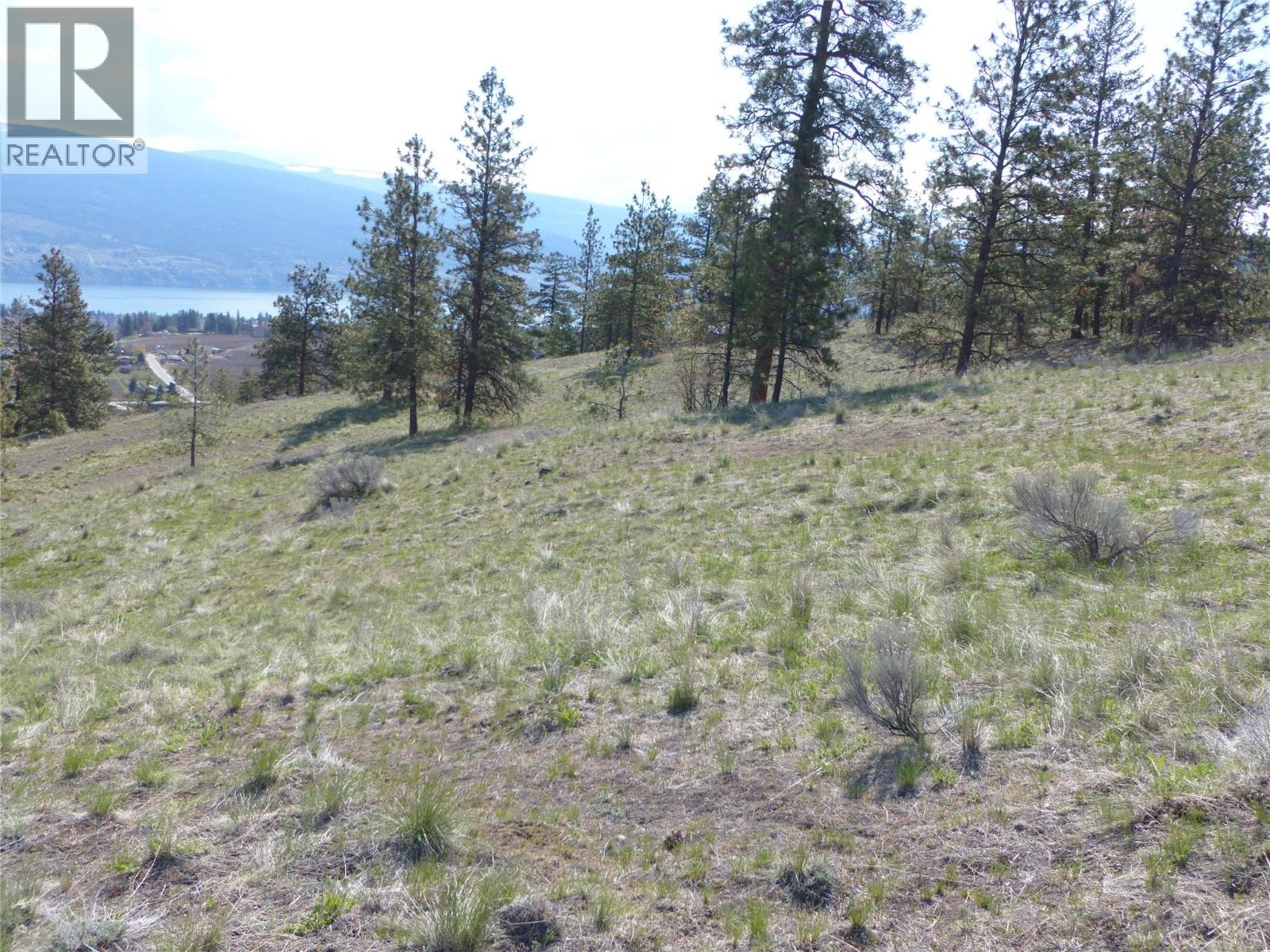 8900 Gilman Road, Summerland, British Columbia  V0H 1Z2 - Photo 5 - 10388012