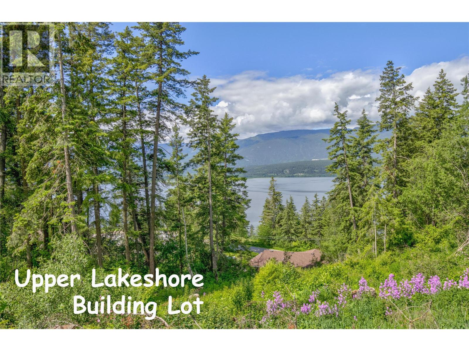 3541 20 Street Ne, Salmon Arm, British Columbia  V1E 2G9 - Photo 1 - 10389846