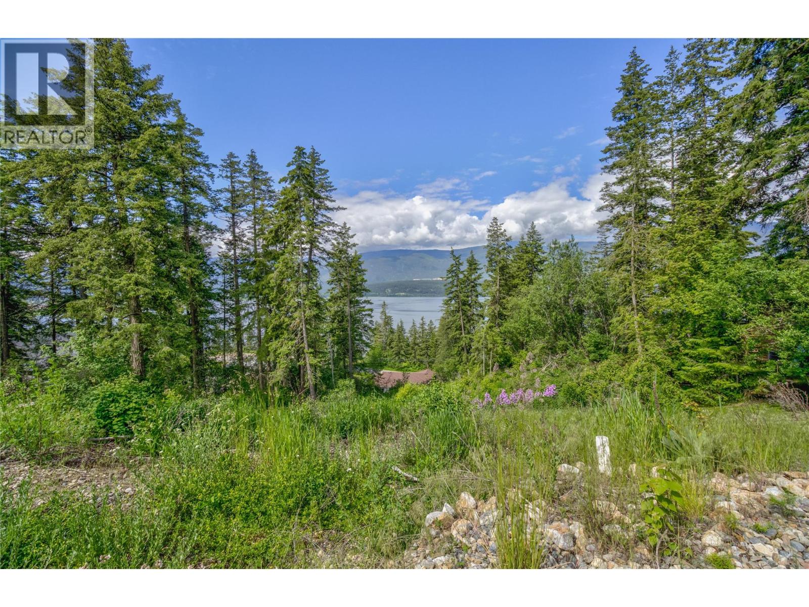 3541 20 Street Ne, Salmon Arm, British Columbia  V1E 2G9 - Photo 2 - 10389846