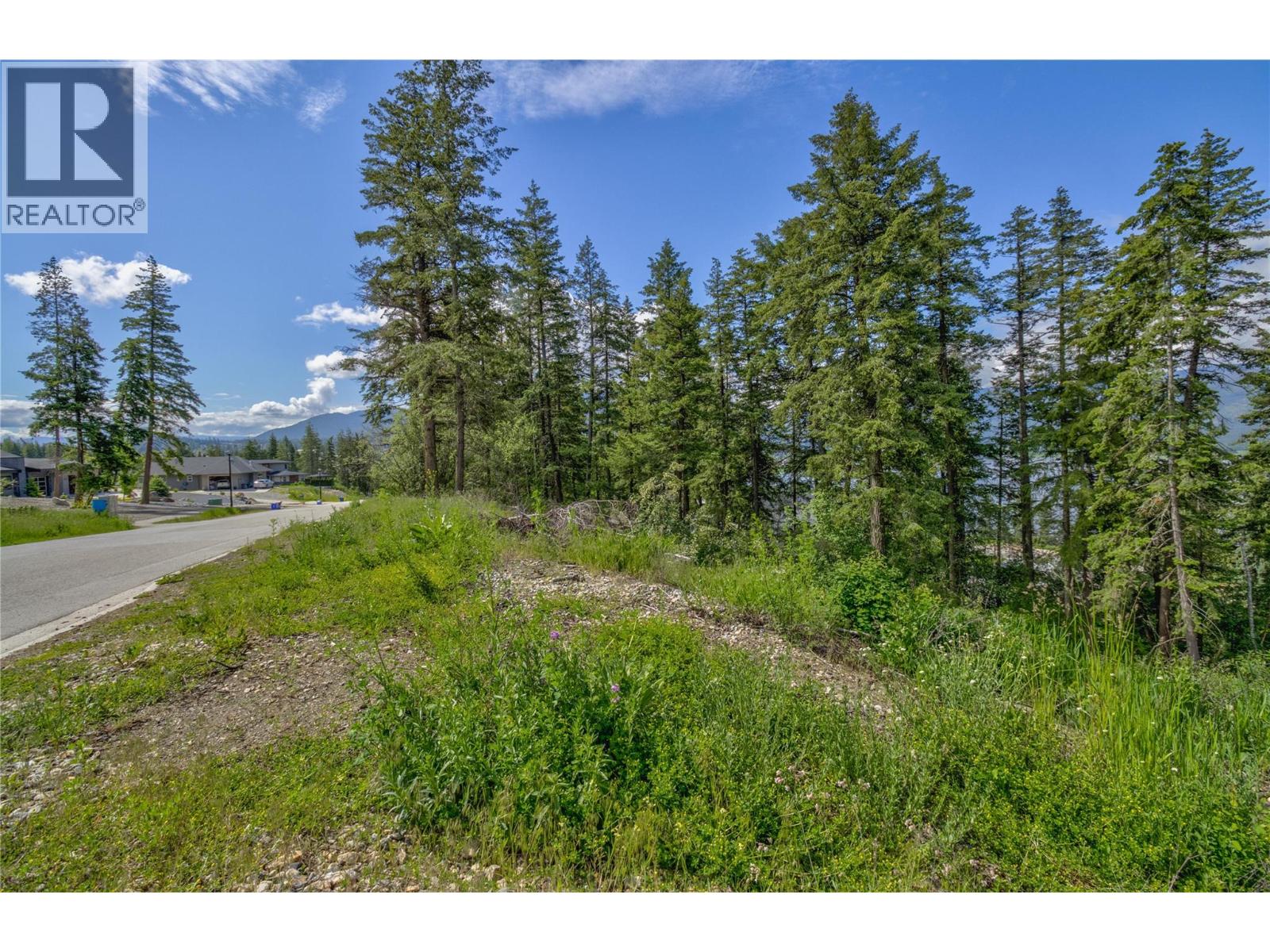 3541 20 Street Ne, Salmon Arm, British Columbia  V1E 2G9 - Photo 4 - 10389846