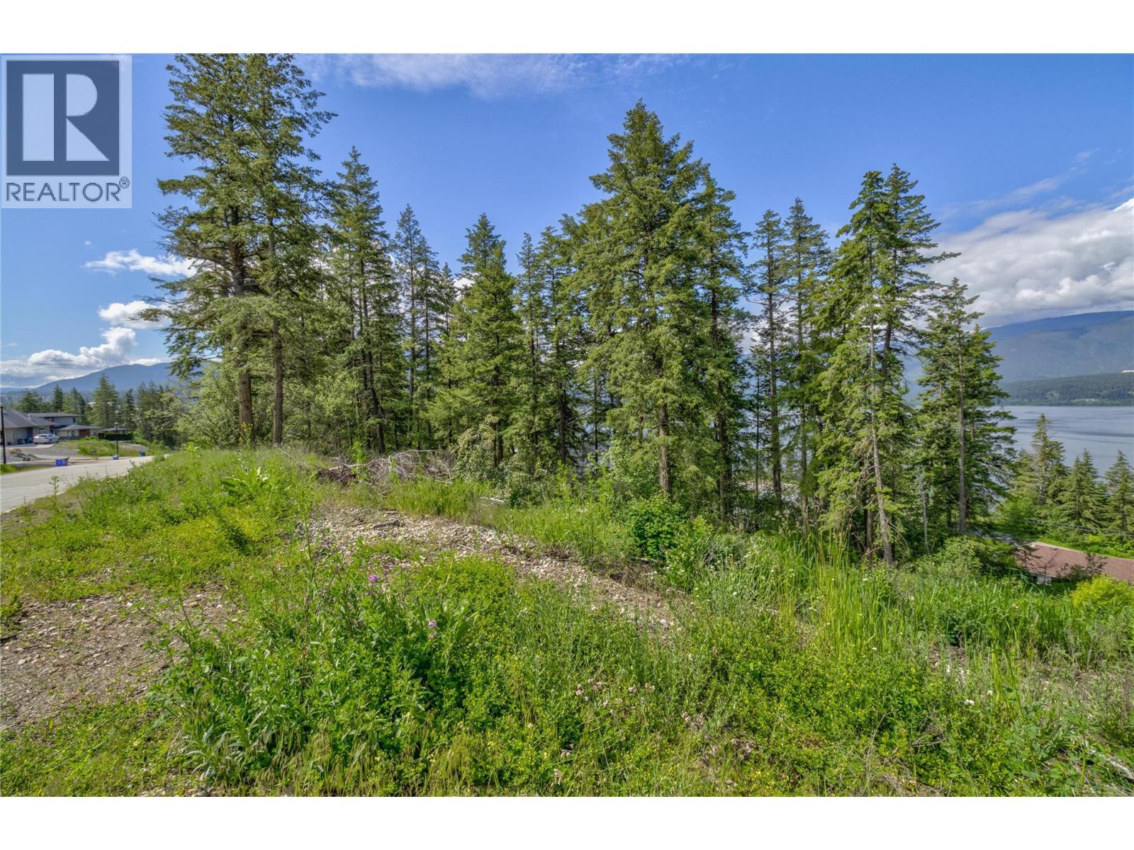 3541 20 Street Ne, Salmon Arm, British Columbia  V1E 2G9 - Photo 5 - 10389846