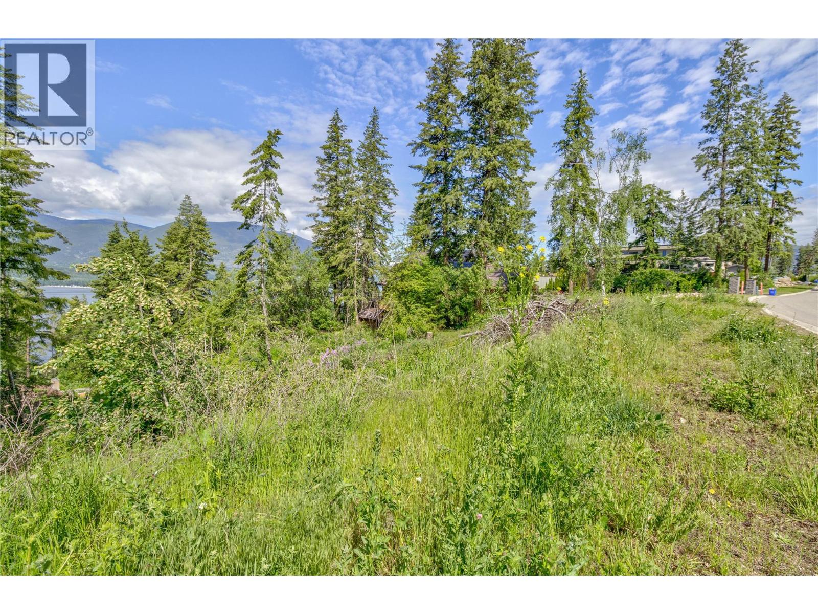 3541 20 Street Ne, Salmon Arm, British Columbia  V1E 2G9 - Photo 6 - 10389846