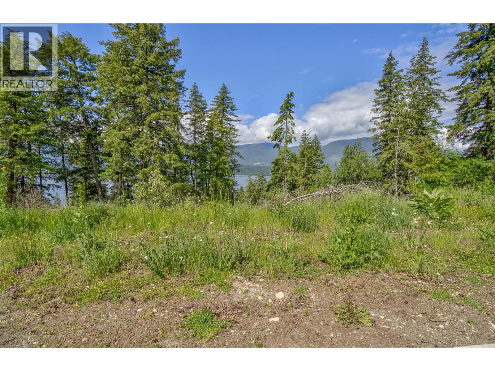 3541 20 Street Ne, Salmon Arm, British Columbia  V1E 2G9 - Photo 7 - 10389846