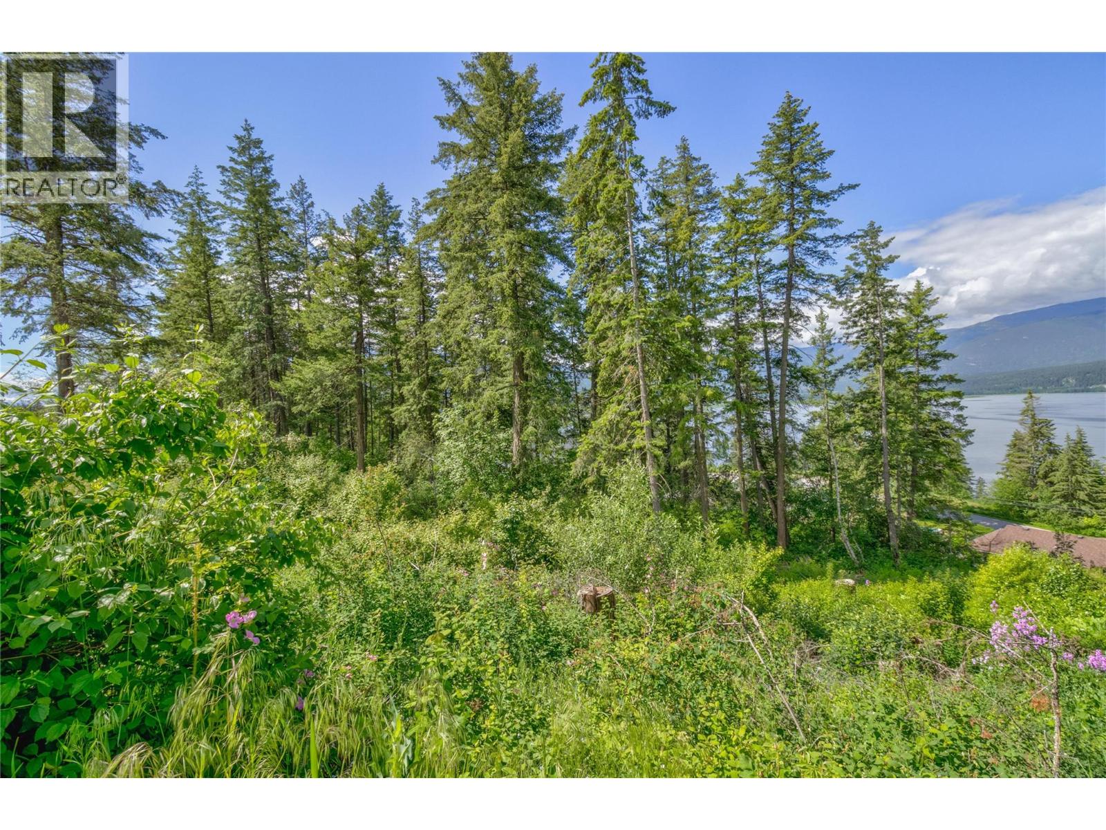 3541 20 Street Ne, Salmon Arm, British Columbia  V1E 2G9 - Photo 8 - 10389846