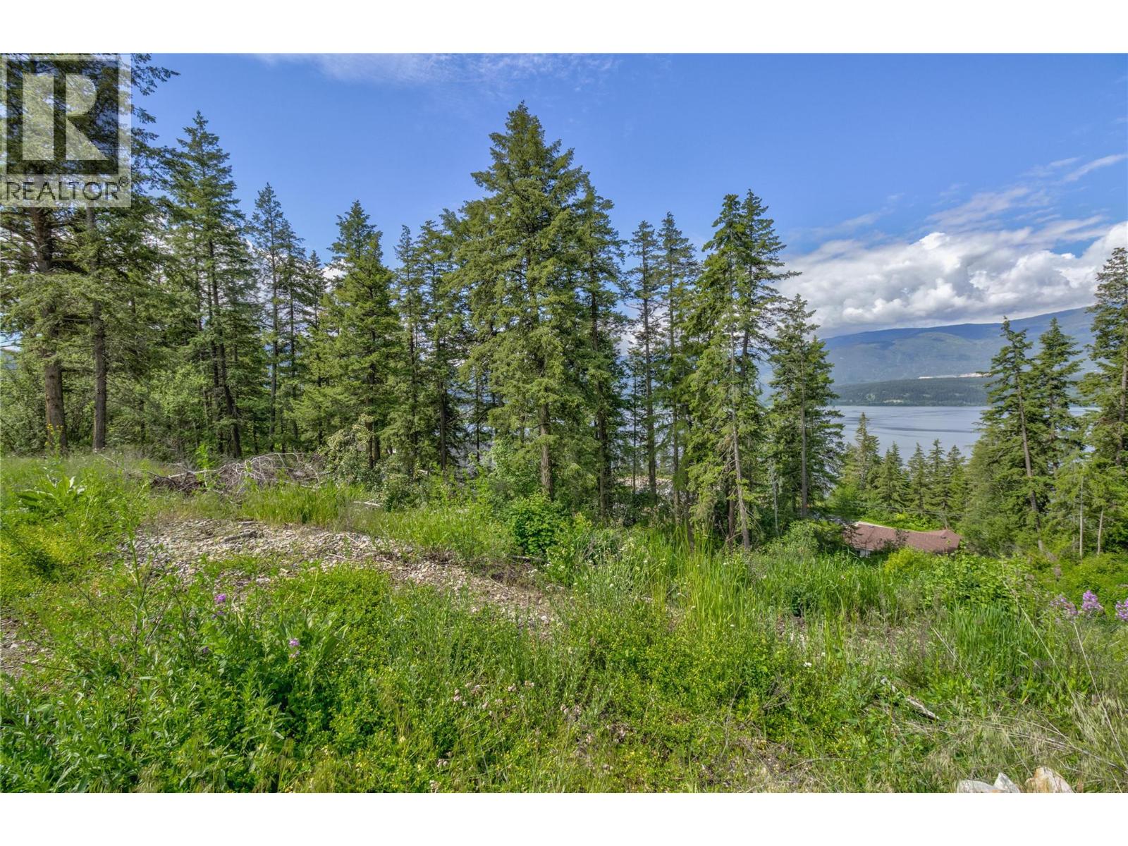 3541 20 Street Ne, Salmon Arm, British Columbia  V1E 2G9 - Photo 9 - 10389846