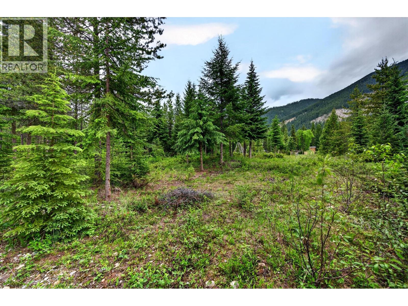 2333 Hedges Road, Golden, British Columbia  V0A 1H1 - Photo 39 - 10389825