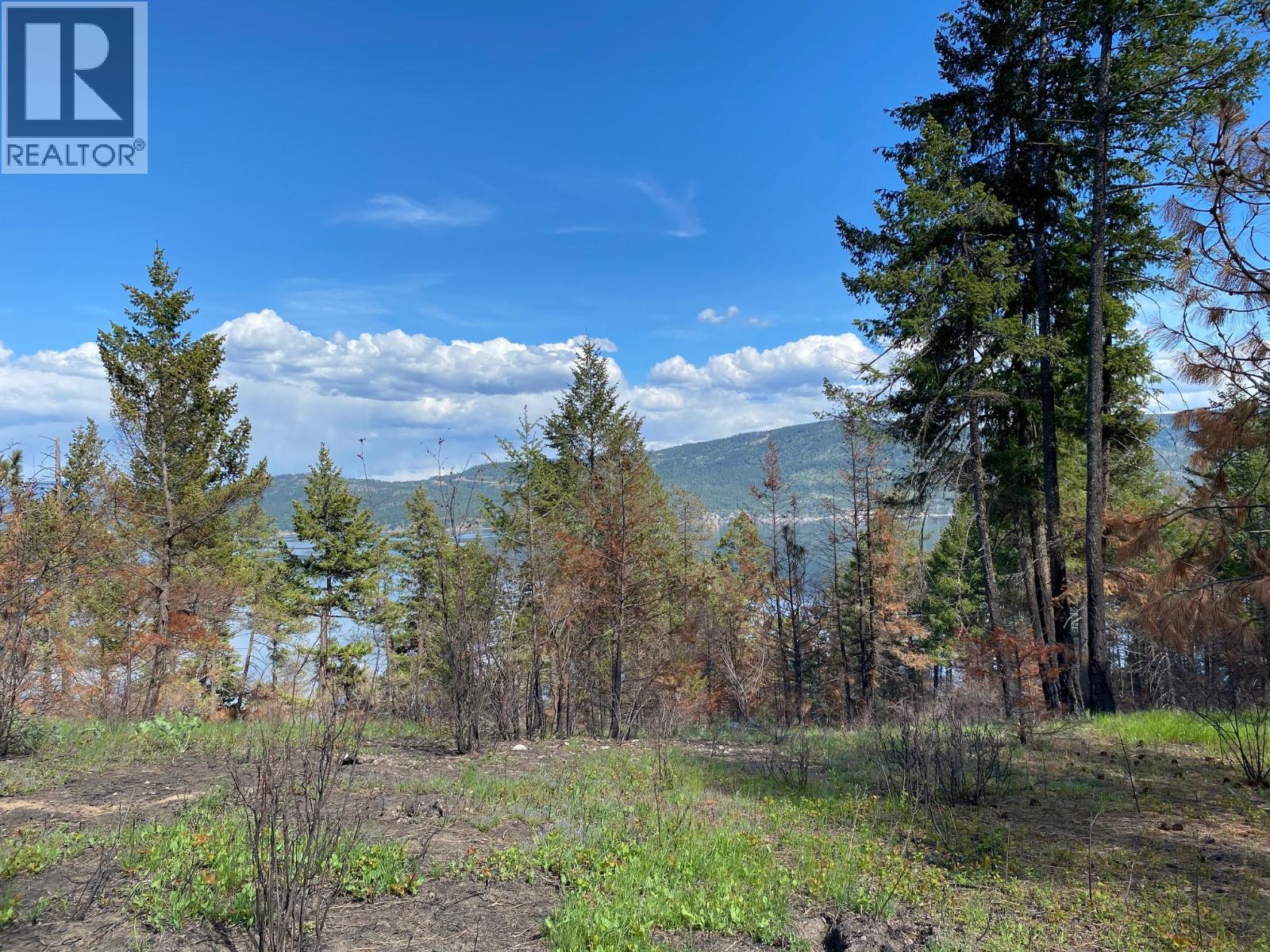Lot 2 Westside Road, Vernon, British Columbia  V1H 2E9 - Photo 1 - 10389301