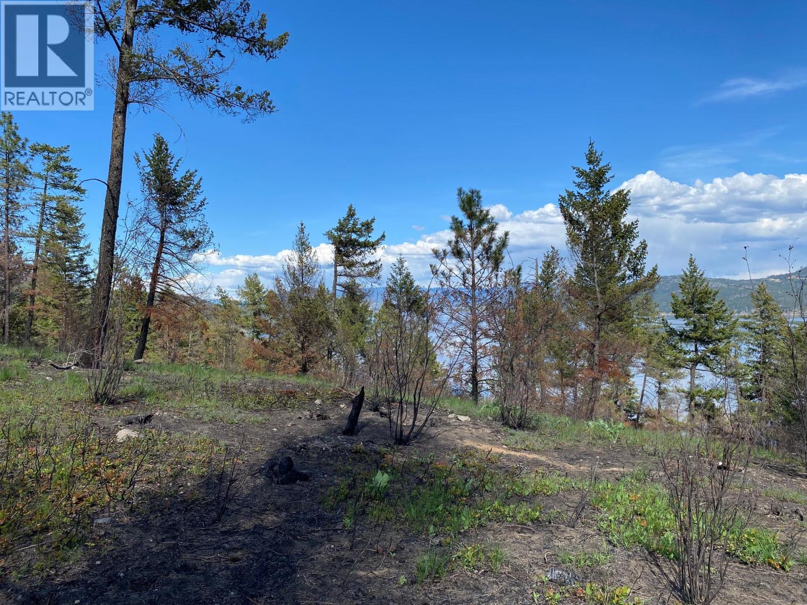 Lot 2 Westside Road, Vernon, British Columbia  V1H 2E9 - Photo 2 - 10389301