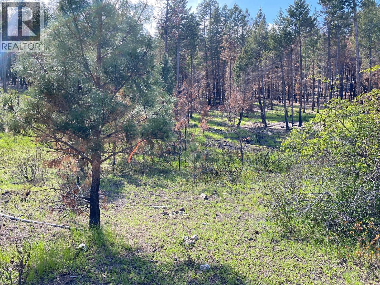 Lot 2 Westside Road, Vernon, British Columbia  V1H 2E9 - Photo 3 - 10389301