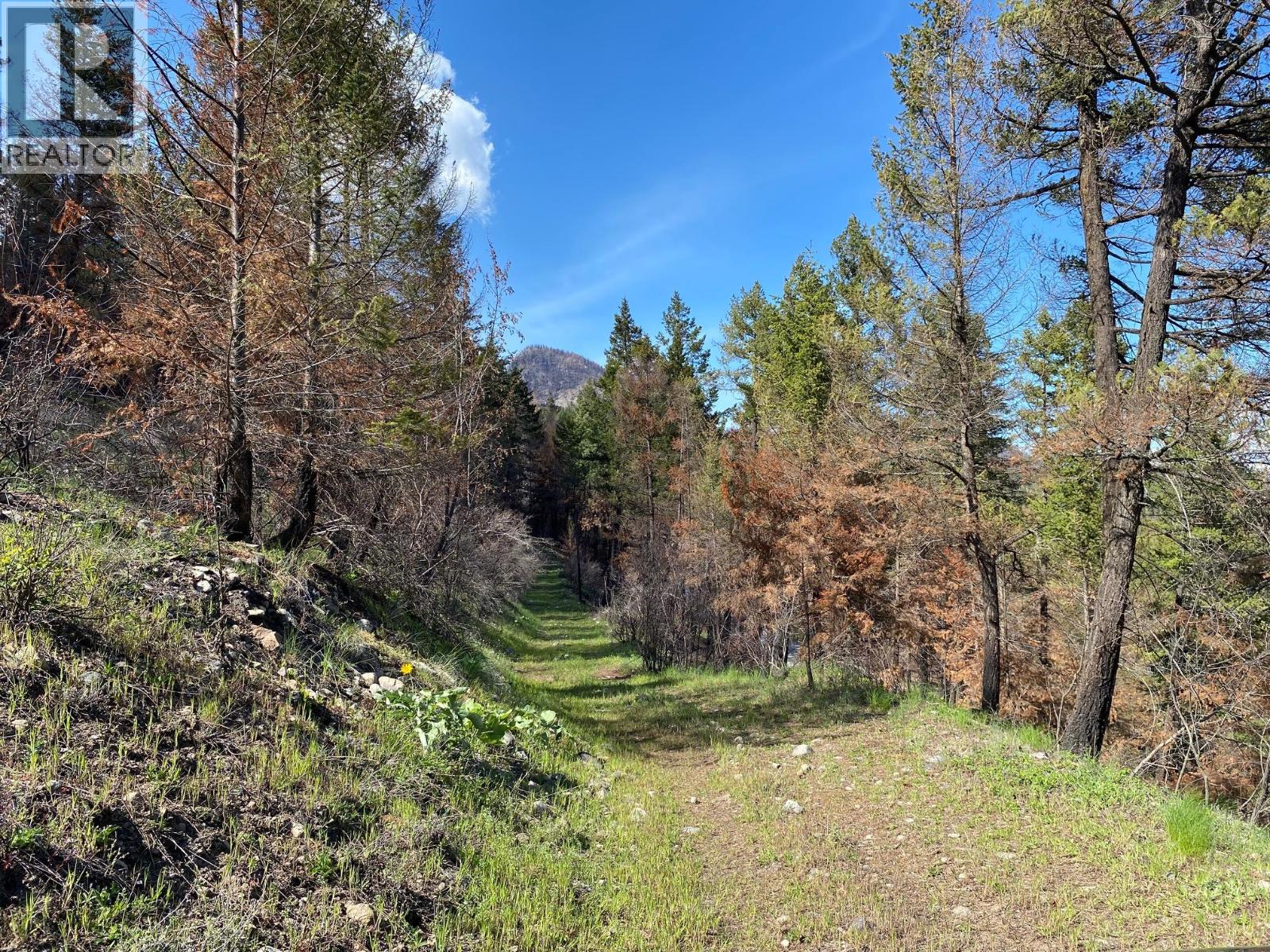 Lot 2 Westside Road, Vernon, British Columbia  V1H 2E9 - Photo 6 - 10389301
