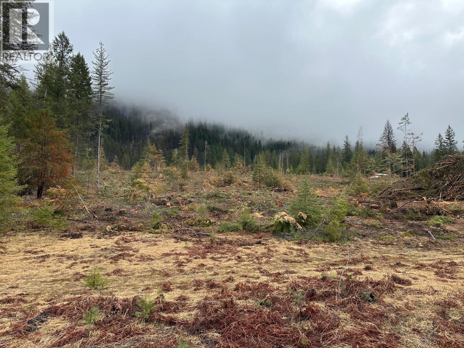 Lot C Lancaster Road, Winlaw, British Columbia  V0G 2J0 - Photo 1 - 10389940