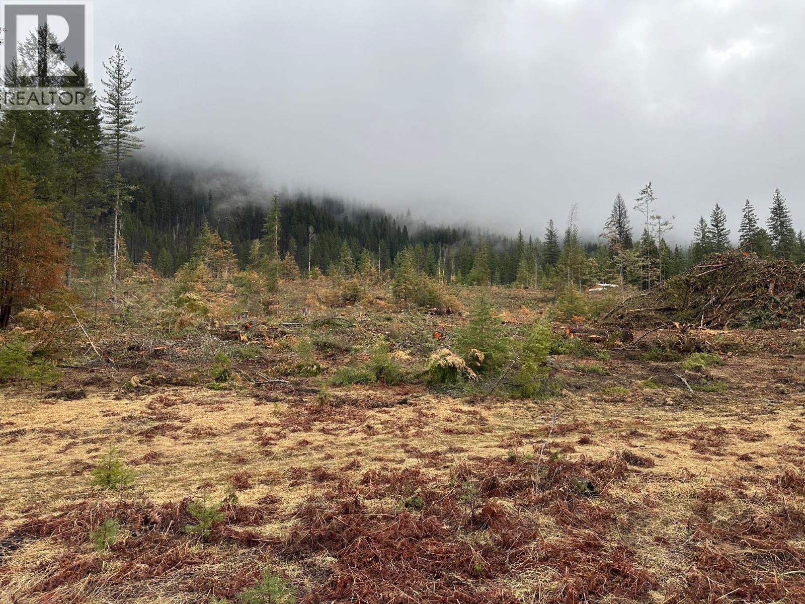 Lot C Lancaster Road, Winlaw, British Columbia  V0G 2J0 - Photo 3 - 10389940