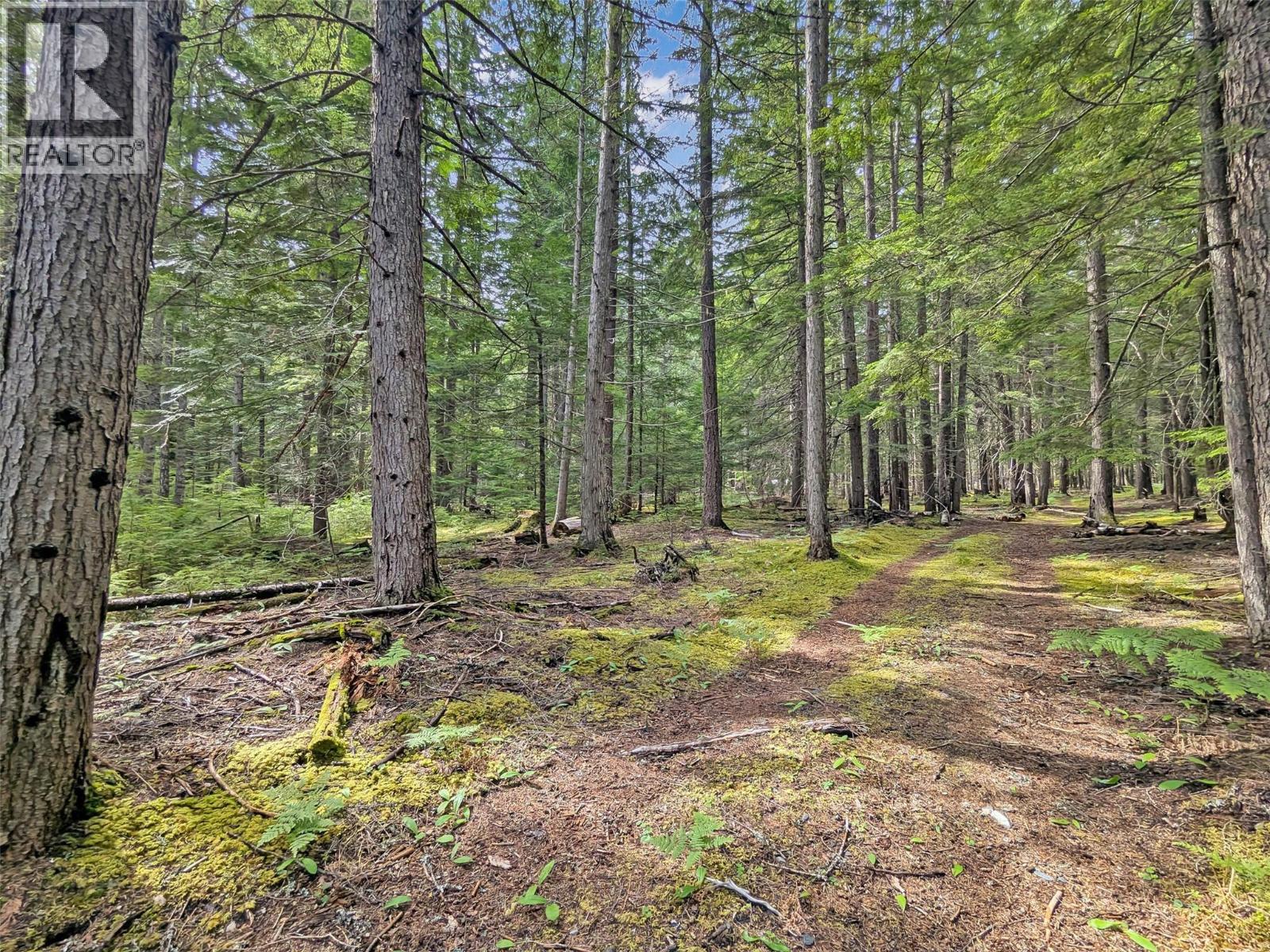 122 Perepolkin Road, Hills, British Columbia  V0G 1S1 - Photo 43 - 10389544