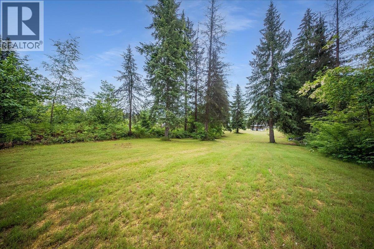 309 12th Avenue, Genelle, British Columbia  V0G 1G0 - Photo 19 - 10389843