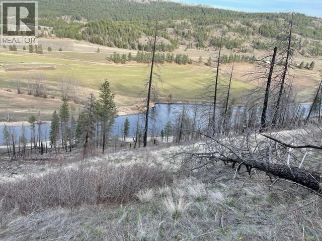 1851 33 Highway, Rock Creek, British Columbia  V0H 1Y0 - Photo 10 - 10389852