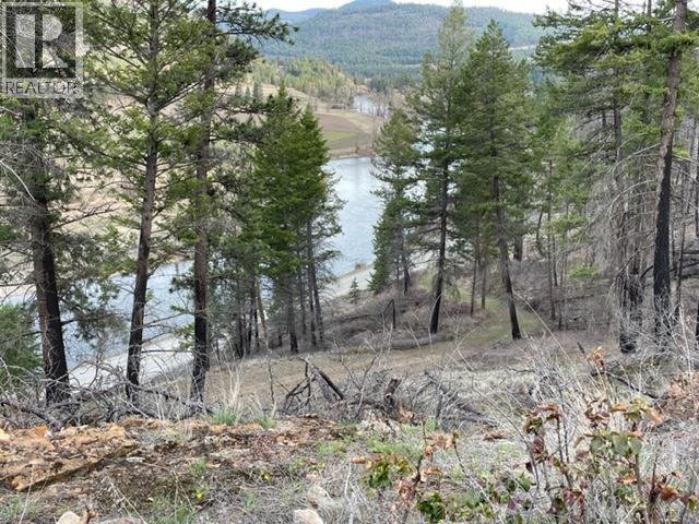1851 33 Highway, Rock Creek, British Columbia  V0H 1Y0 - Photo 20 - 10389852