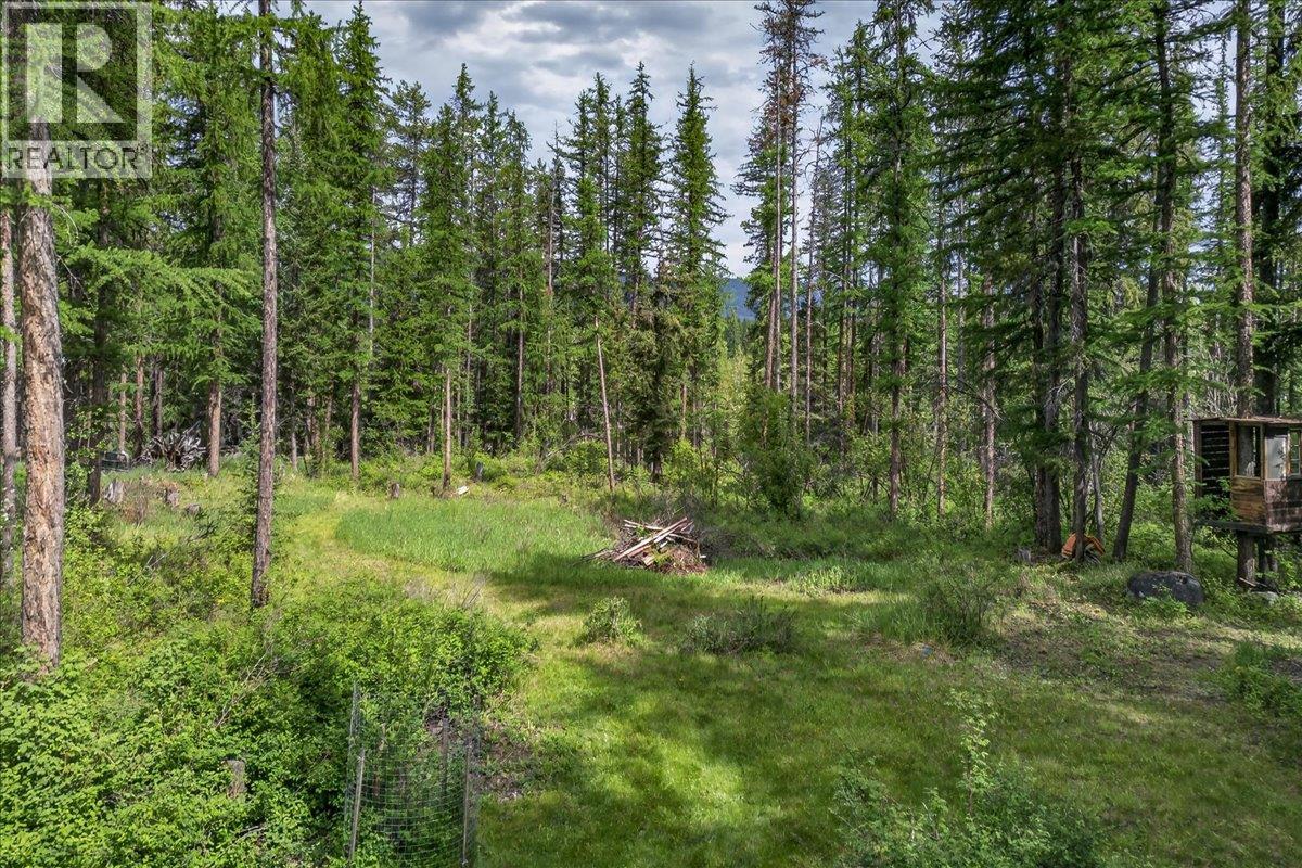 8807 Highway 95a, Kimberley, British Columbia  V1A 3M6 - Photo 36 - 10389160